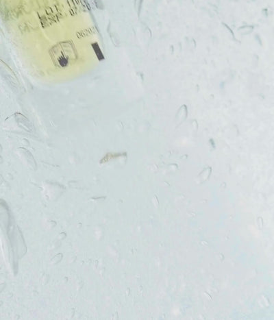 Serum Christina z witaminą C, niacynamidem i kwasem hialuronowym. Rozjaśnia, nawilża, regeneruje skórę.